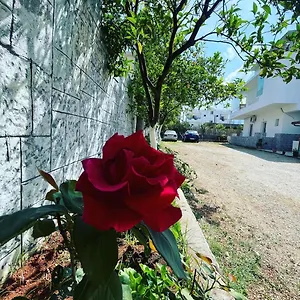 https://vila-era.albaniahotels.org